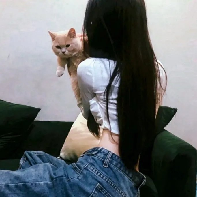 牛群