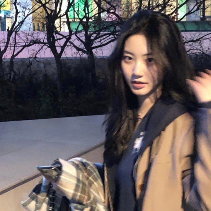 朵儿的战争